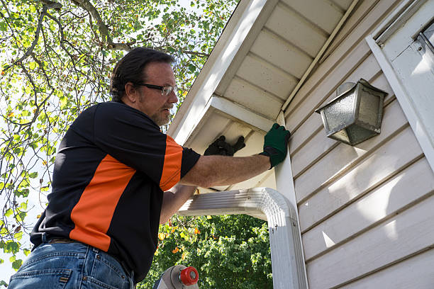 Best Hoarding Cleanup  in Hamlet, IN